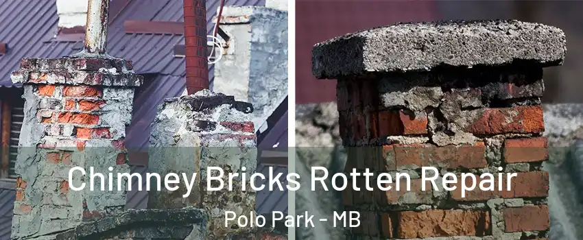  Chimney Bricks Rotten Repair Polo Park - MB