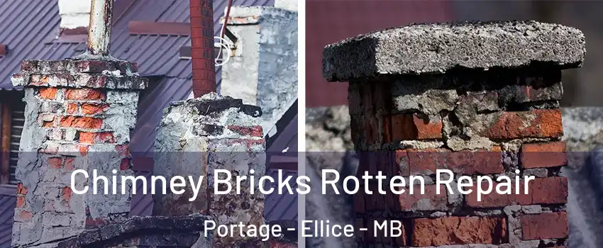  Chimney Bricks Rotten Repair Portage - Ellice - MB