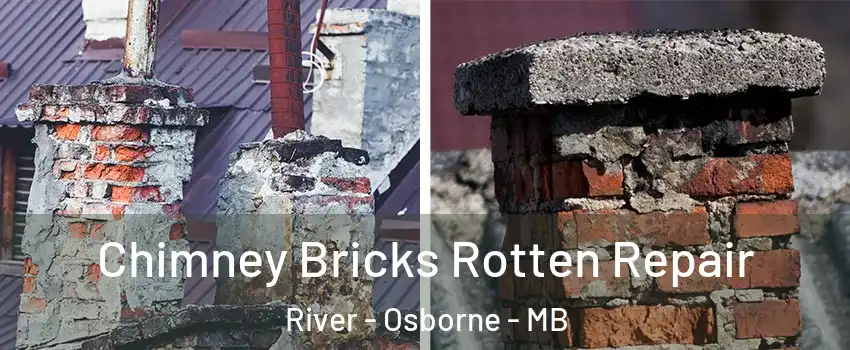  Chimney Bricks Rotten Repair River - Osborne - MB