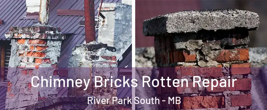  Chimney Bricks Rotten Repair River Park South - MB