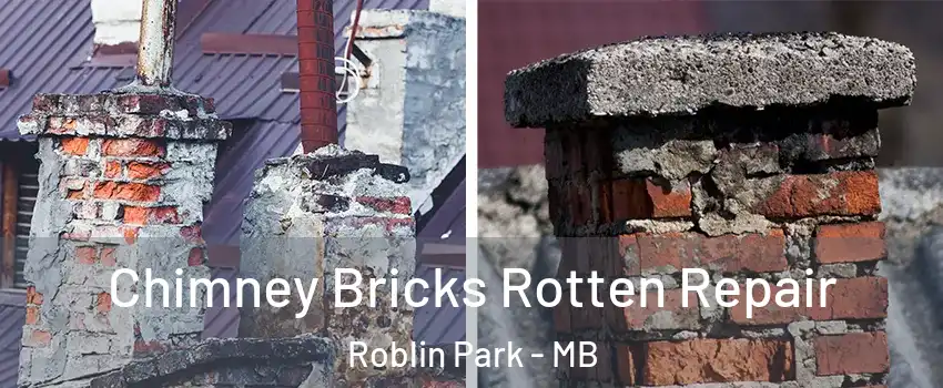  Chimney Bricks Rotten Repair Roblin Park - MB