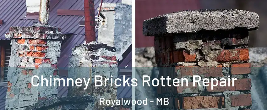 Chimney Bricks Rotten Repair Royalwood - MB