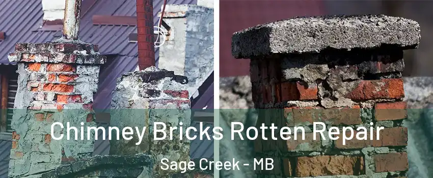  Chimney Bricks Rotten Repair Sage Creek - MB