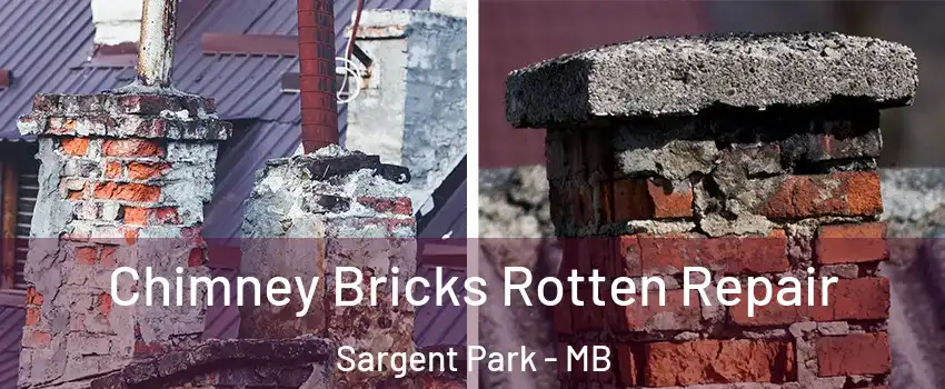  Chimney Bricks Rotten Repair Sargent Park - MB