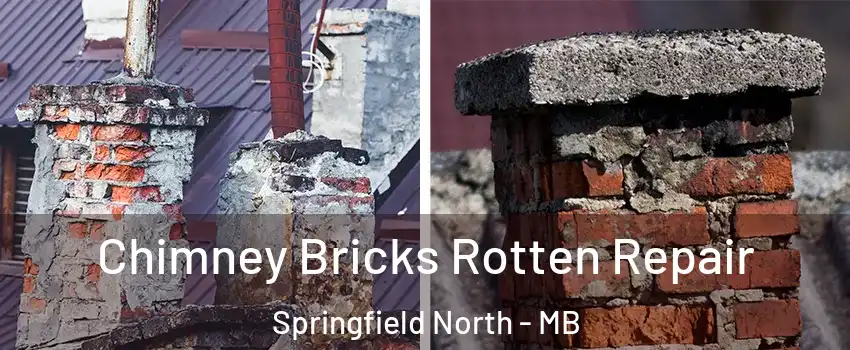  Chimney Bricks Rotten Repair Springfield North - MB