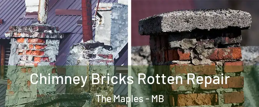  Chimney Bricks Rotten Repair The Maples - MB