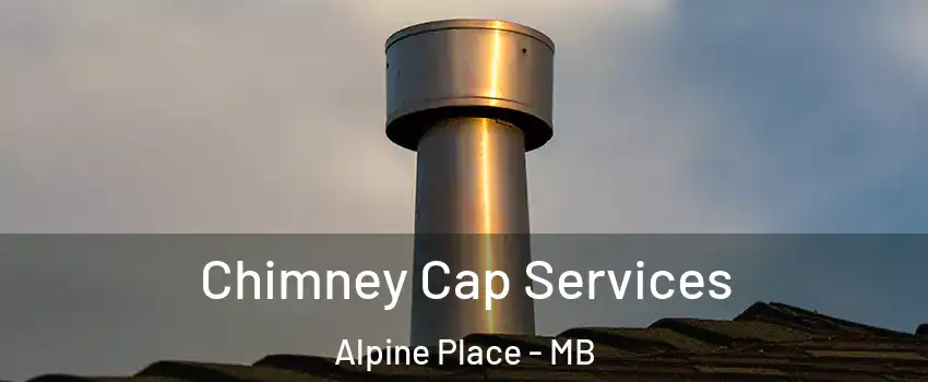  Chimney Cap Services Alpine Place - MB