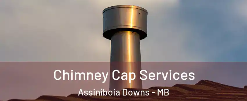  Chimney Cap Services Assiniboia Downs - MB