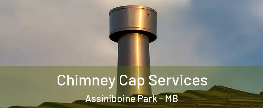  Chimney Cap Services Assiniboine Park - MB