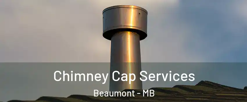  Chimney Cap Services Beaumont - MB