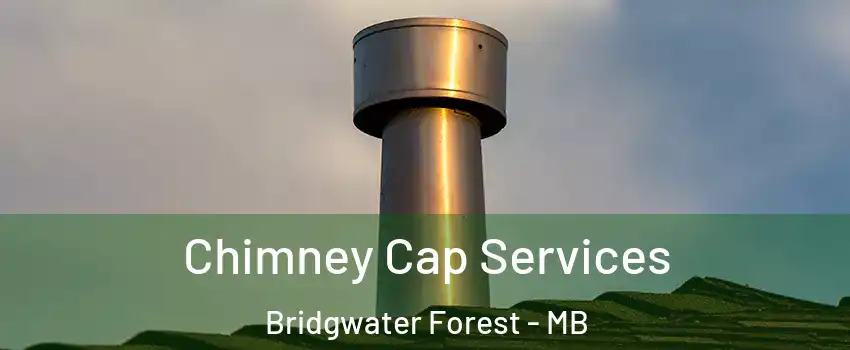  Chimney Cap Services Bridgwater Forest - MB