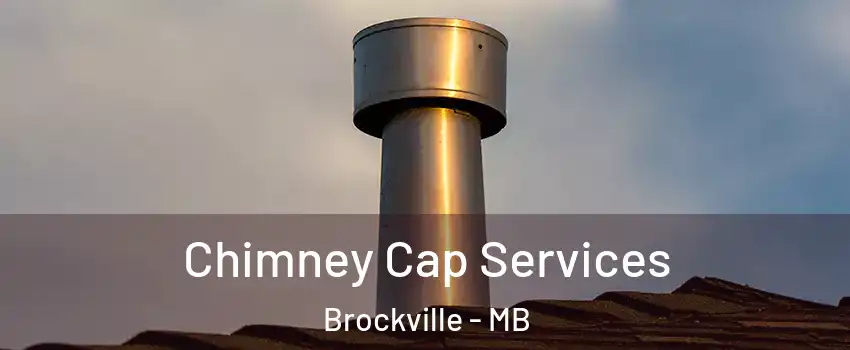  Chimney Cap Services Brockville - MB