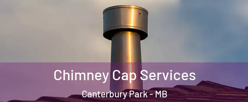  Chimney Cap Services Canterbury Park - MB