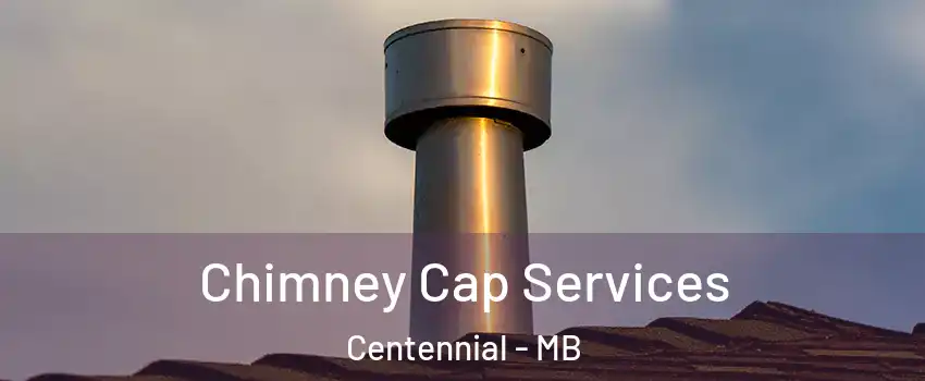  Chimney Cap Services Centennial - MB