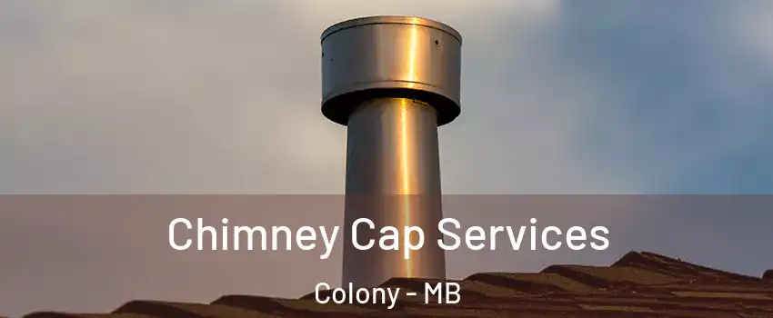  Chimney Cap Services Colony - MB