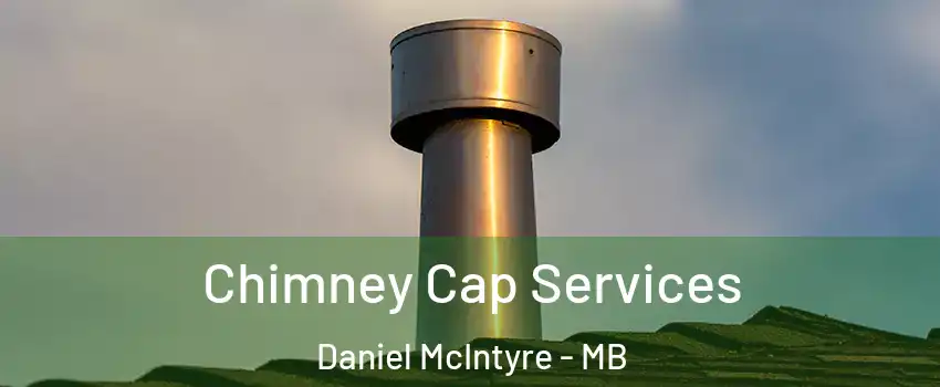  Chimney Cap Services Daniel McIntyre - MB