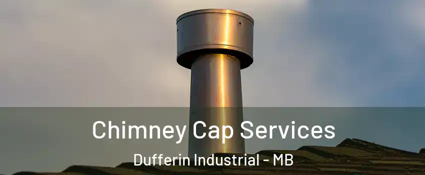  Chimney Cap Services Dufferin Industrial - MB
