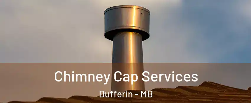  Chimney Cap Services Dufferin - MB