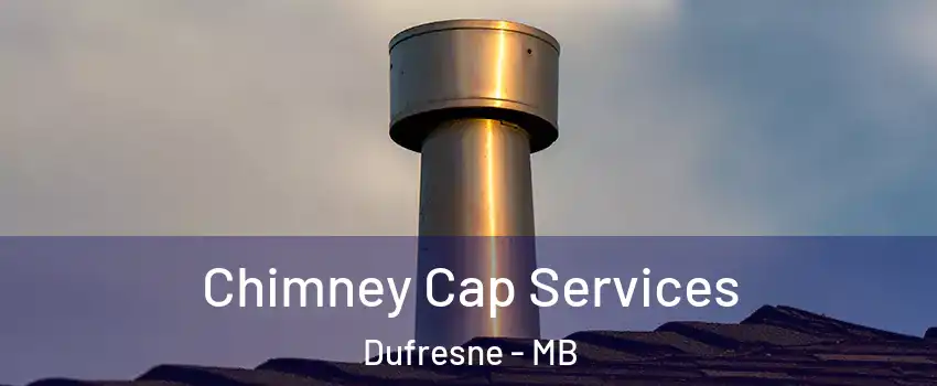  Chimney Cap Services Dufresne - MB