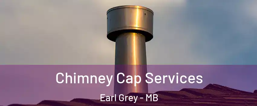  Chimney Cap Services Earl Grey - MB