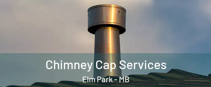  Chimney Cap Services Elm Park - MB