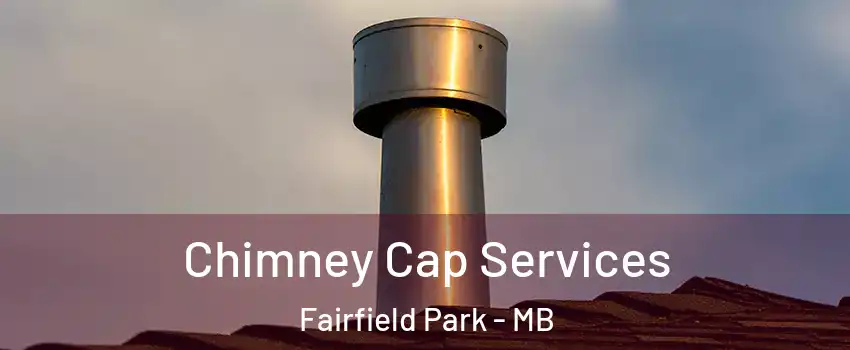 Chimney Cap Services Fairfield Park - MB