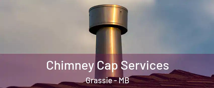  Chimney Cap Services Grassie - MB