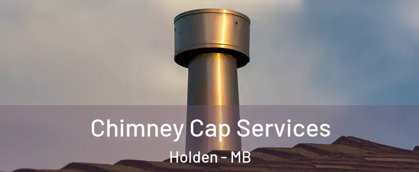  Chimney Cap Services Holden - MB