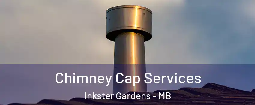  Chimney Cap Services Inkster Gardens - MB