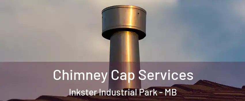  Chimney Cap Services Inkster Industrial Park - MB