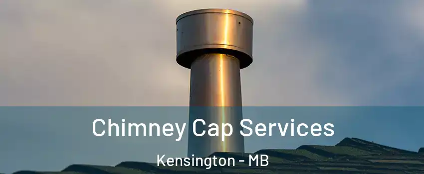  Chimney Cap Services Kensington - MB