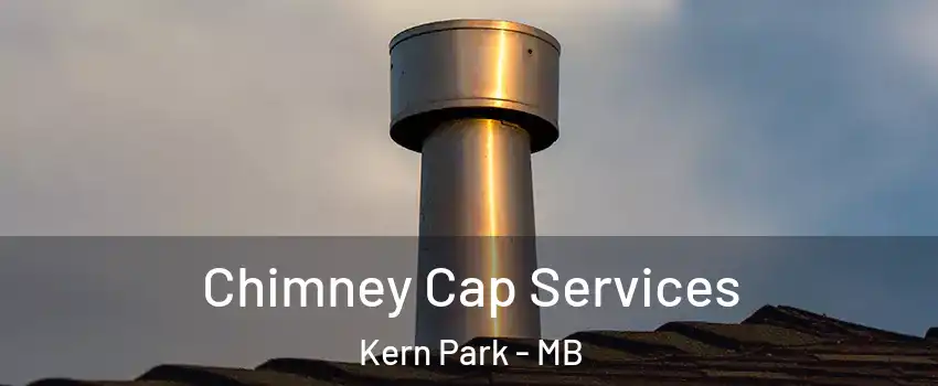  Chimney Cap Services Kern Park - MB