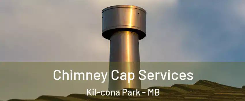  Chimney Cap Services Kil-cona Park - MB