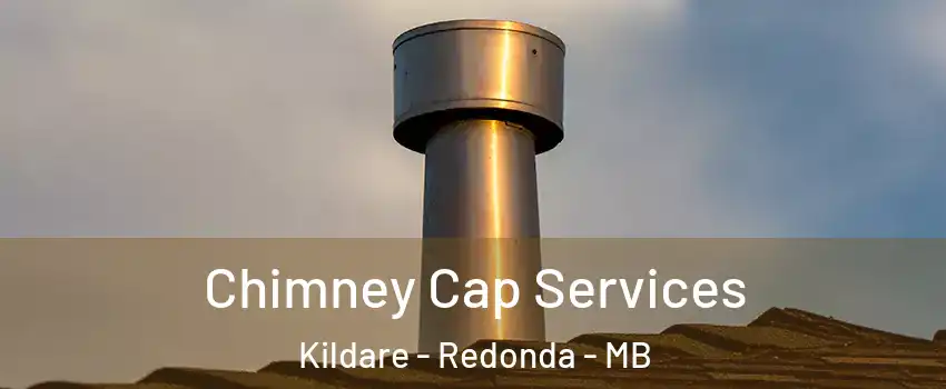  Chimney Cap Services Kildare - Redonda - MB
