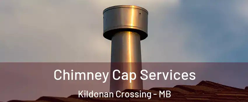  Chimney Cap Services Kildonan Crossing - MB