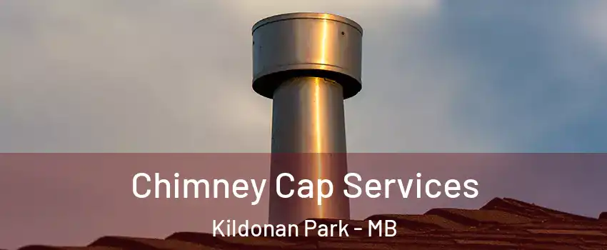  Chimney Cap Services Kildonan Park - MB