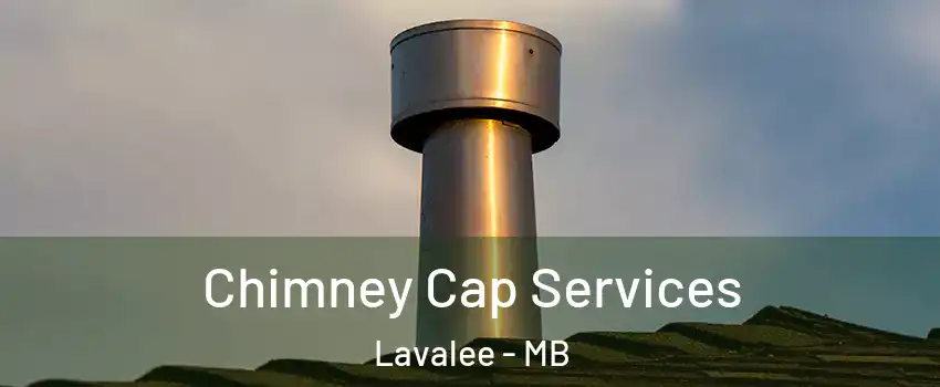  Chimney Cap Services Lavalee - MB