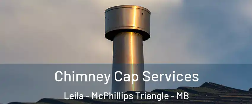  Chimney Cap Services Leila - McPhillips Triangle - MB