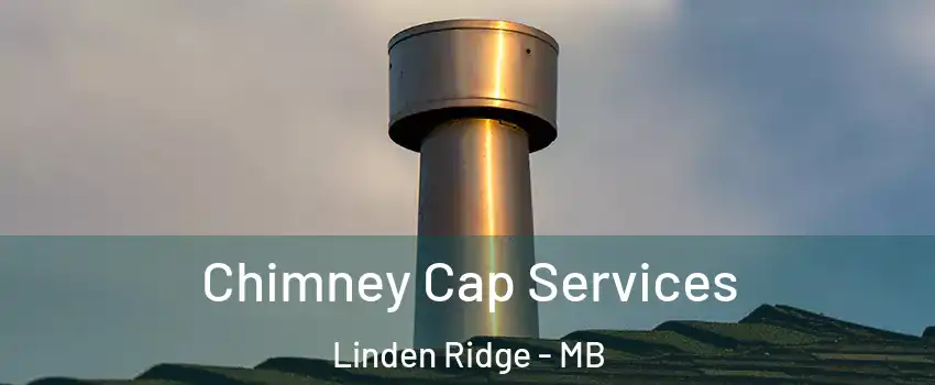  Chimney Cap Services Linden Ridge - MB