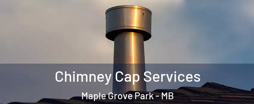  Chimney Cap Services Maple Grove Park - MB