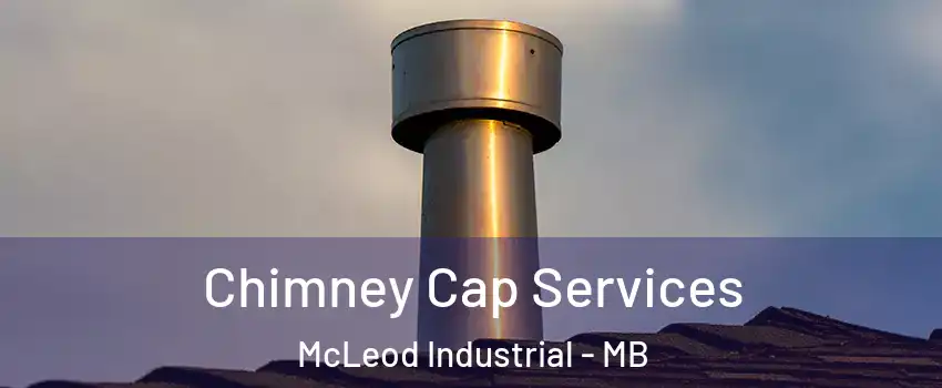  Chimney Cap Services McLeod Industrial - MB