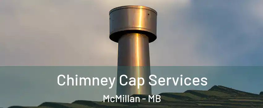  Chimney Cap Services McMillan - MB