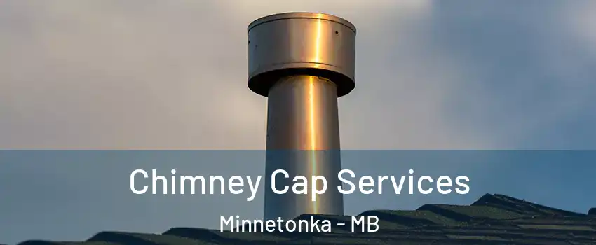  Chimney Cap Services Minnetonka - MB