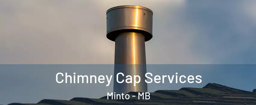  Chimney Cap Services Minto - MB