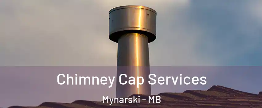  Chimney Cap Services Mynarski - MB