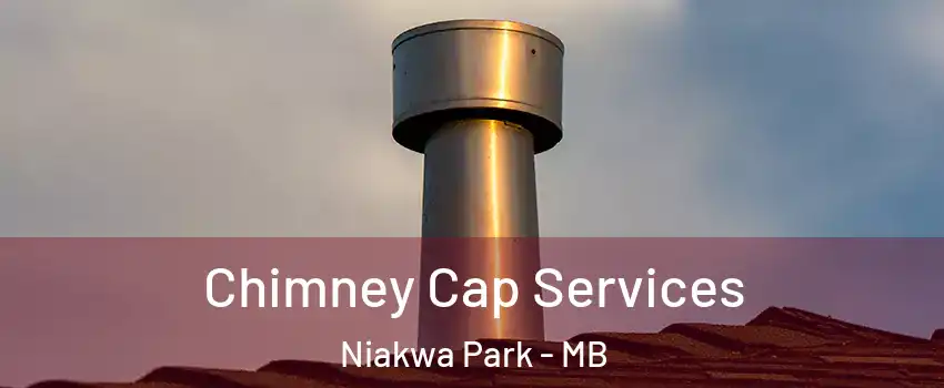  Chimney Cap Services Niakwa Park - MB