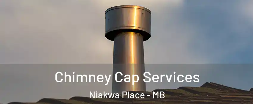  Chimney Cap Services Niakwa Place - MB