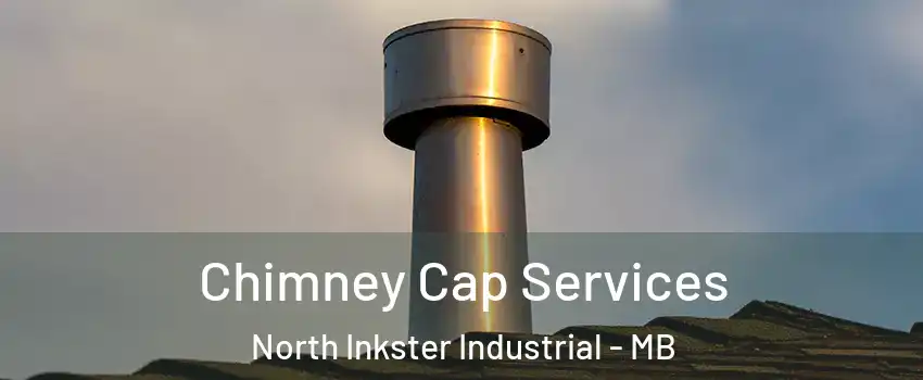  Chimney Cap Services North Inkster Industrial - MB