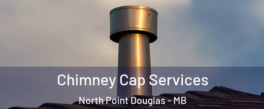  Chimney Cap Services North Point Douglas - MB