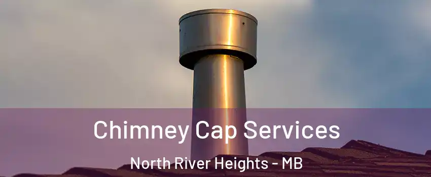  Chimney Cap Services North River Heights - MB